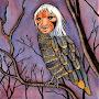 @OrderOfTheOwl