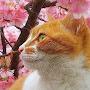 @peggypedersen8856