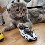 @magda_cat