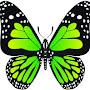 @greenbutterfly42.