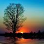 @bijayabhoi8665