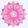 @bethegraceofserenity4640