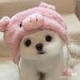 @pressurecooker12