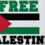 @Palastine76