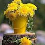 @mouhamedmamdouh3053