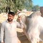 @maliksajjad786t