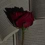 @NabeehaNabeeha-c9j