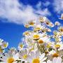 @marjetkavolovsek1052