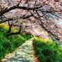 @sachin90978