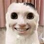 @Nanau12233go