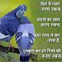 @PankajKumar-ib2ri