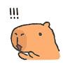 @capybara_yeah