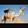 @thesandmoose765