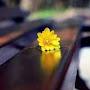 @corecore1574