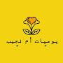 @yawmiyatoumnajib8946