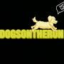 @Dogsontherun-j5e