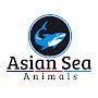 @asianseaanimals