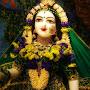 @ankitshivam3695