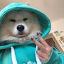 @Mr.dongky