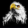 @PL_WhiteEagle