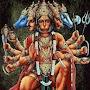 @aprajitachaudhari6979