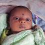 @sanjayrathod9506