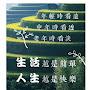 @她永遠留在我心中小鳳
