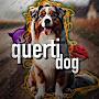 @querti_dog