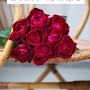 @احمدمحمد-ق4ه