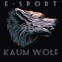 @kaumwolfesport157