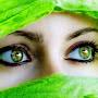 @farwakhan495
