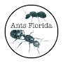@antsflorida4092