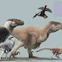 @Velociraptor202