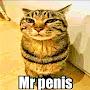 @Mr_PENISSSSSS