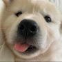 @xxnn3