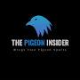 @thepigeoninsider