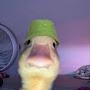 @Duckiron.gWf1