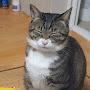 @어떵-g5i