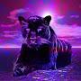 @purplepanther4153