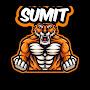 @SumitFFgamer341