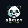 @GürsoyUnlimited