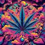 @countryboy420x