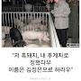 @구독안하면흑돼지됌