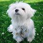@flyaway.mylife