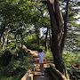 @볼빨다사춘기