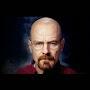 @walterwhite8008