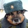@ИгорьБурков-ю7н