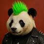 @PunkRockPandaa