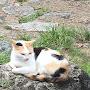 @tayushi5557