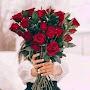 @mstmaye4372